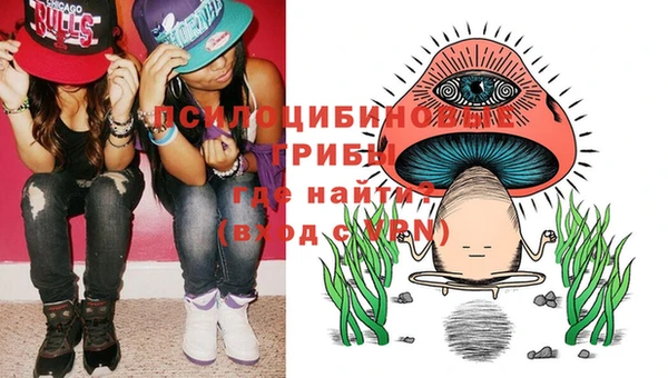 PSILOCYBIN Вязьма