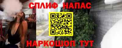 гидра Берёзовский