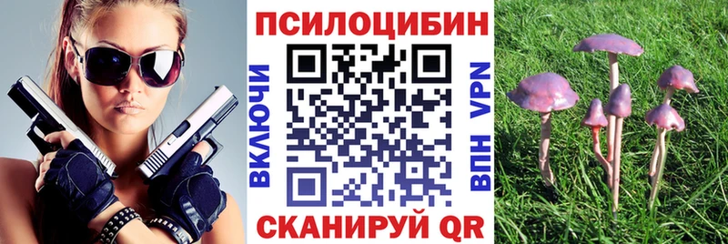 Галлюциногенные грибы GOLDEN TEACHER  наркошоп  даркнет как зайти  Верхний Уфалей 