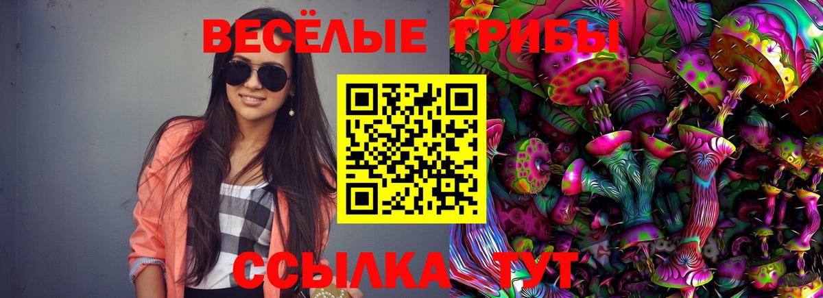 Галлюциногенные грибы прущие грибы  Псилоцибиновые грибы Psilocybine cubensis  Вход с VPN  Верхний Уфалей 