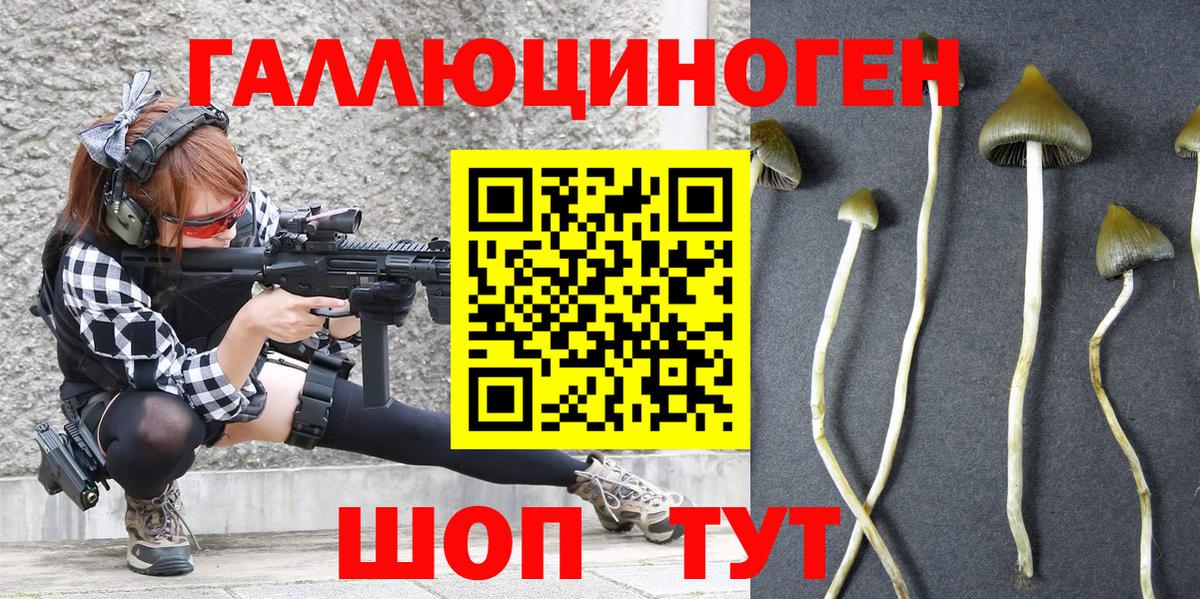 Галлюциногенные грибы Psilocybe Верхний Уфалей